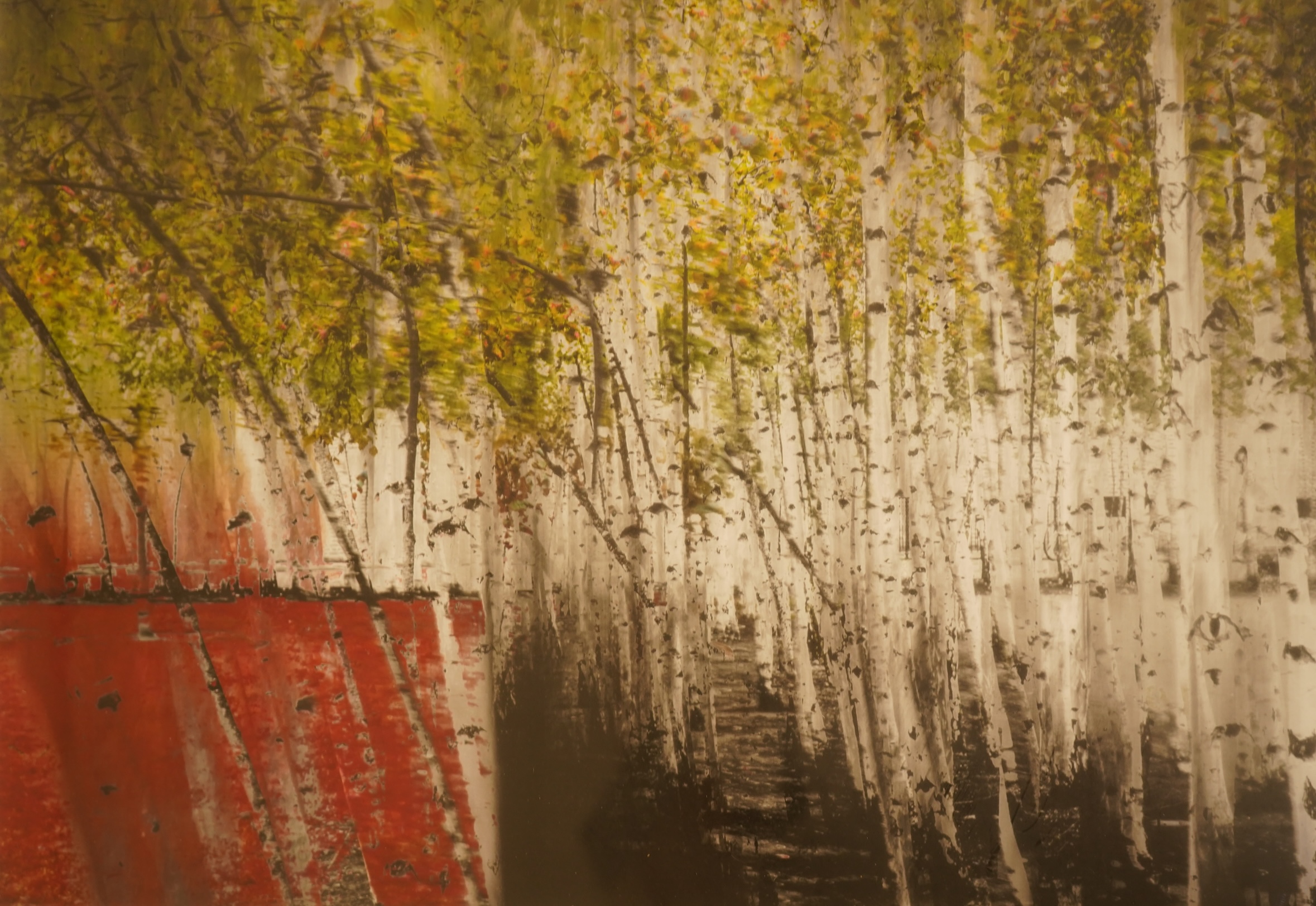 A set of eight decorative abstract compositions, Landscapes and trees, unsigned, photographic prints., Provenance: The Tanyards Collection, East Sussex